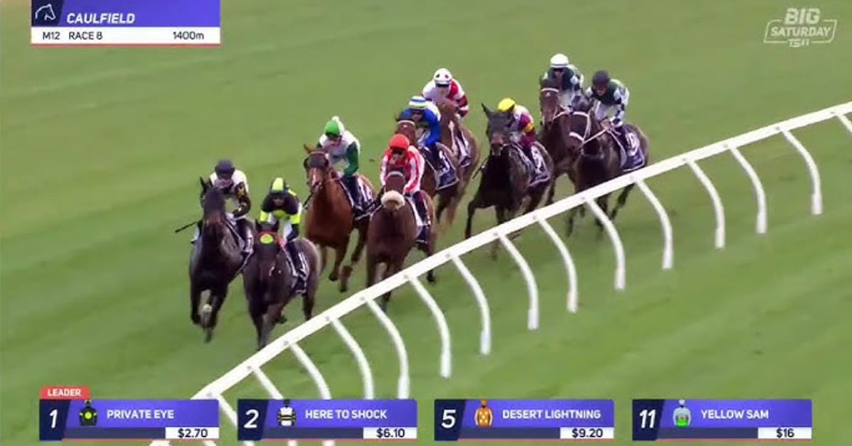 Horses racing on the grass in Australia.