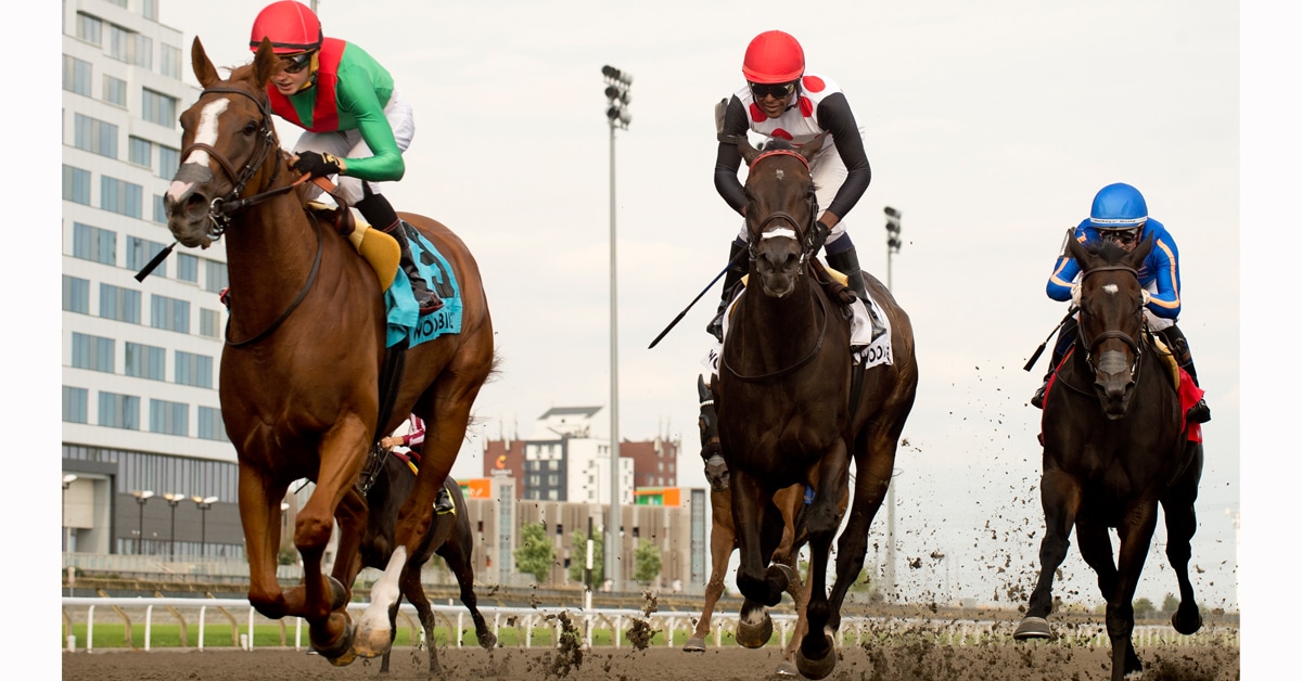 Horses racing at Woodbine.