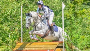A grey horse being ridden over a cross-country fence.
