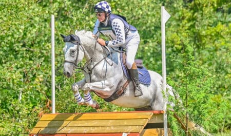 A grey horse being ridden over a cross-country fence.