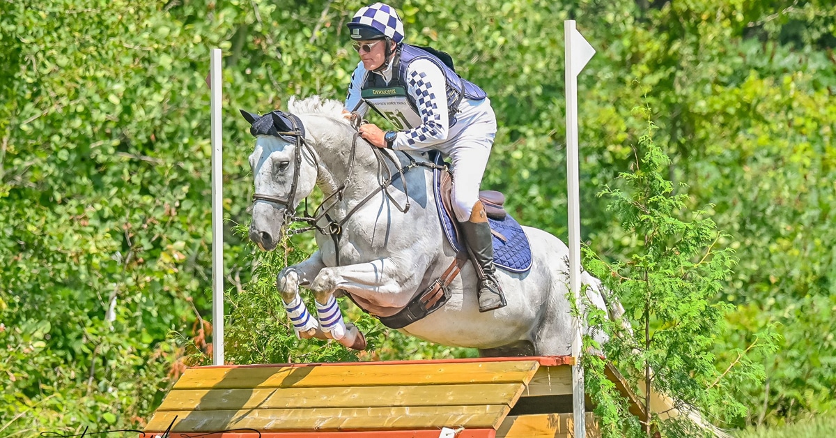 A grey horse being ridden over a cross-country fence.