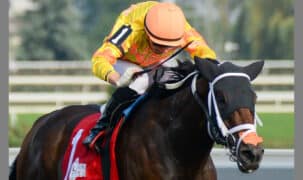 Kin's Plate winner Mansetti.