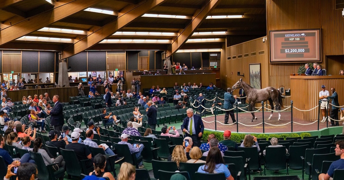 Thumbnail for Keeneland September Preview: Sale Begins Monday