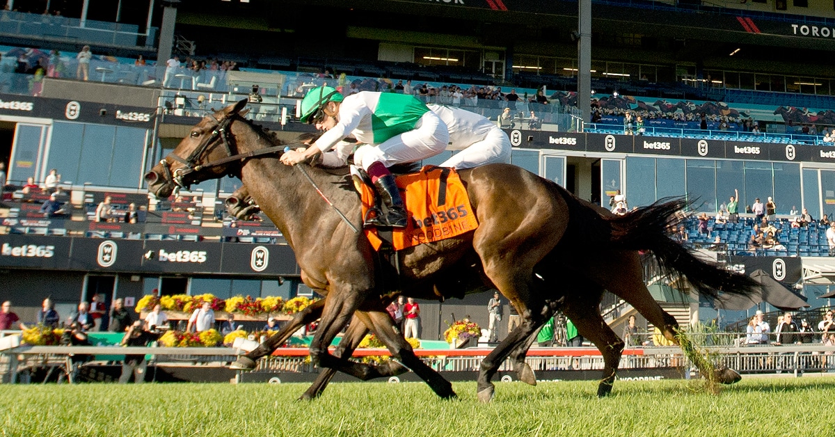 Thumbnail for Dance Smartly to be World Cup Qualifier