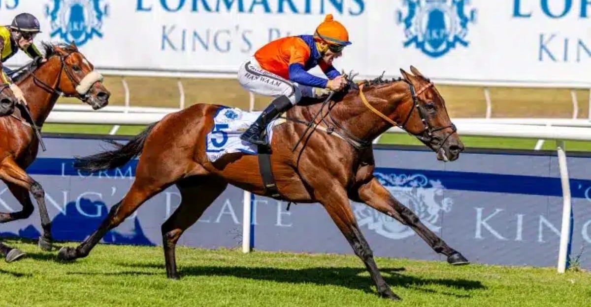 A bay racehorse winning a race.