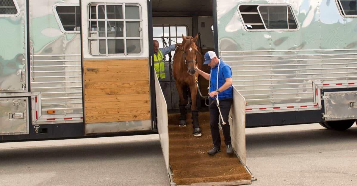 Thumbnail for Godolphin, Appleby Ready for More Woodbine Turf
