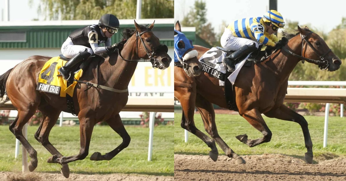 Two images of horses winning at Fort Erie.