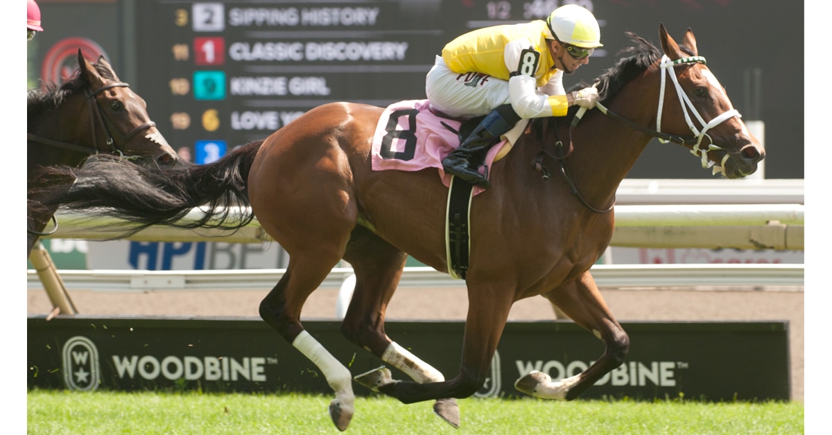 Thumbnail for Desruisseaux Seeks First Graded Stakes Win in Natalma