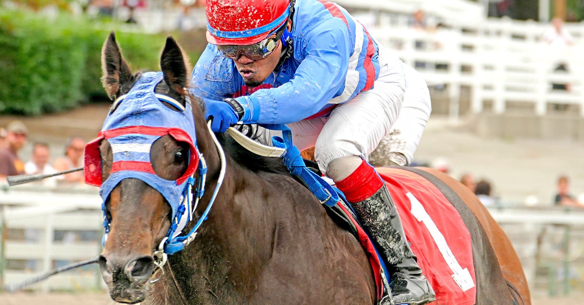 Thumbnail for BC Derby, BC Oaks Headline Hastings Saturday