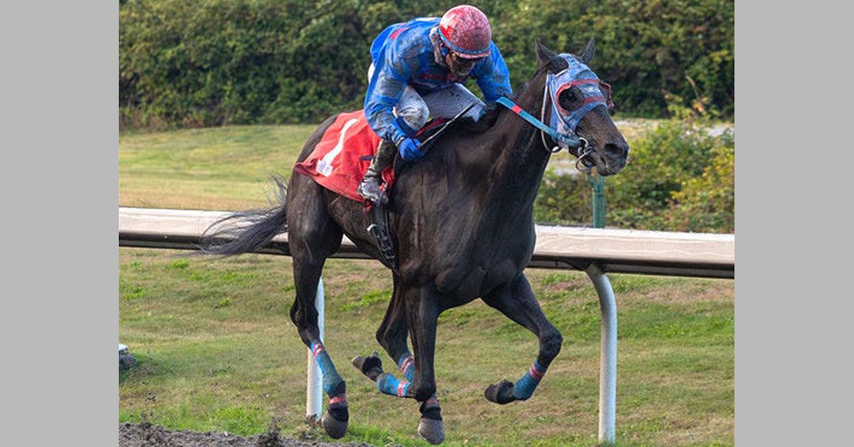 Thumbnail for Rondelito Wins Delayed BC Derby, Attack Collects Series Bonus