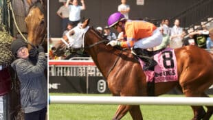 A woman patting a bay horse; the same horse winning a race at Woodbine.