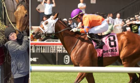 A woman patting a bay horse; the same horse winning a race at Woodbine.