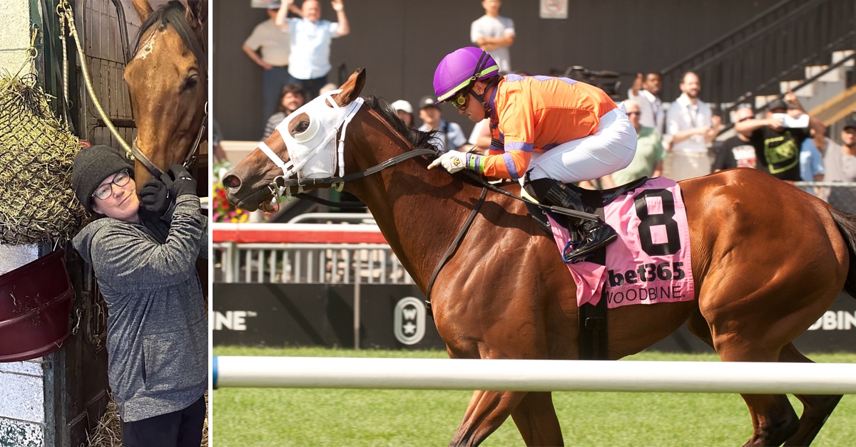 A woman patting a bay horse; the same horse winning a race at Woodbine.
