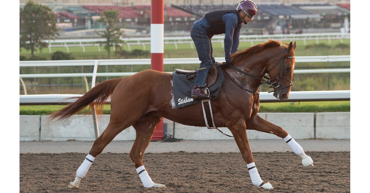 Thumbnail for Breeders’ Stakes Nomination Notes