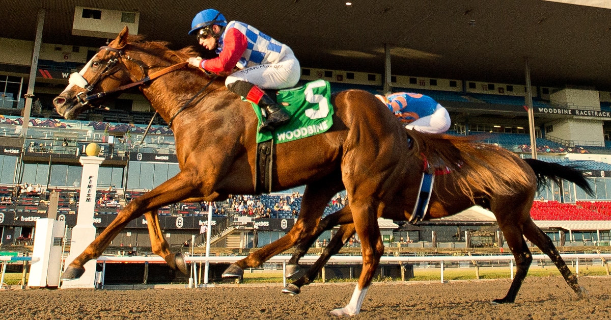 Two horses racing at Woodbine.