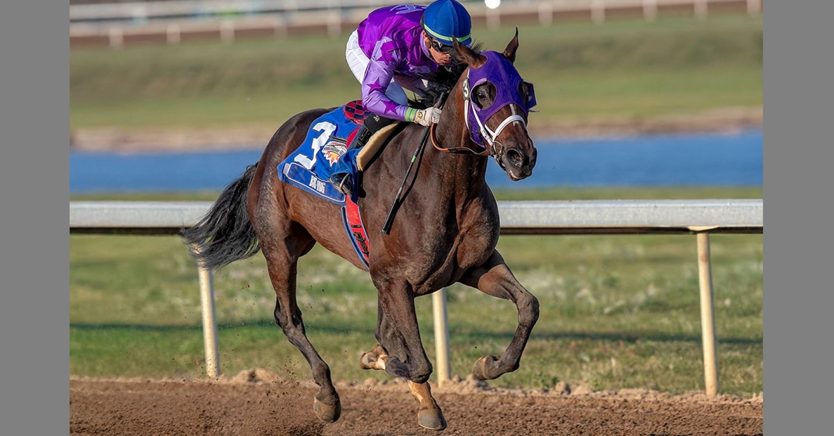 Thumbnail for Big Hug Romps in Alberta Fall Classic