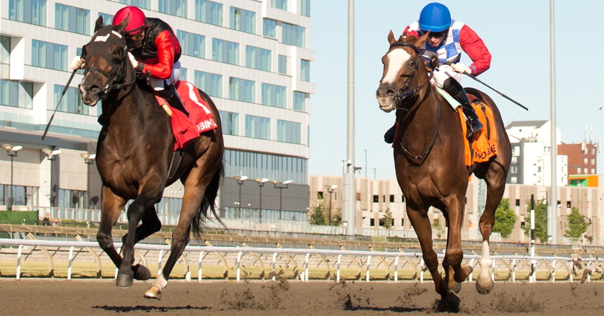 Two horses racing at Woodbine.