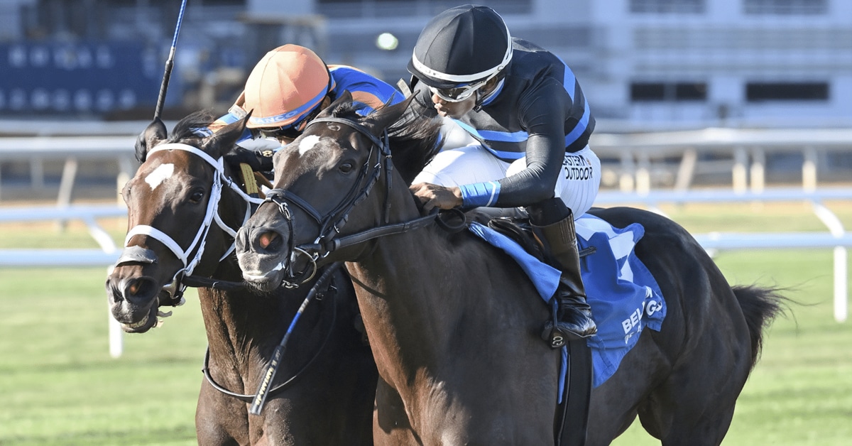 Horses racing at Aqueduct.