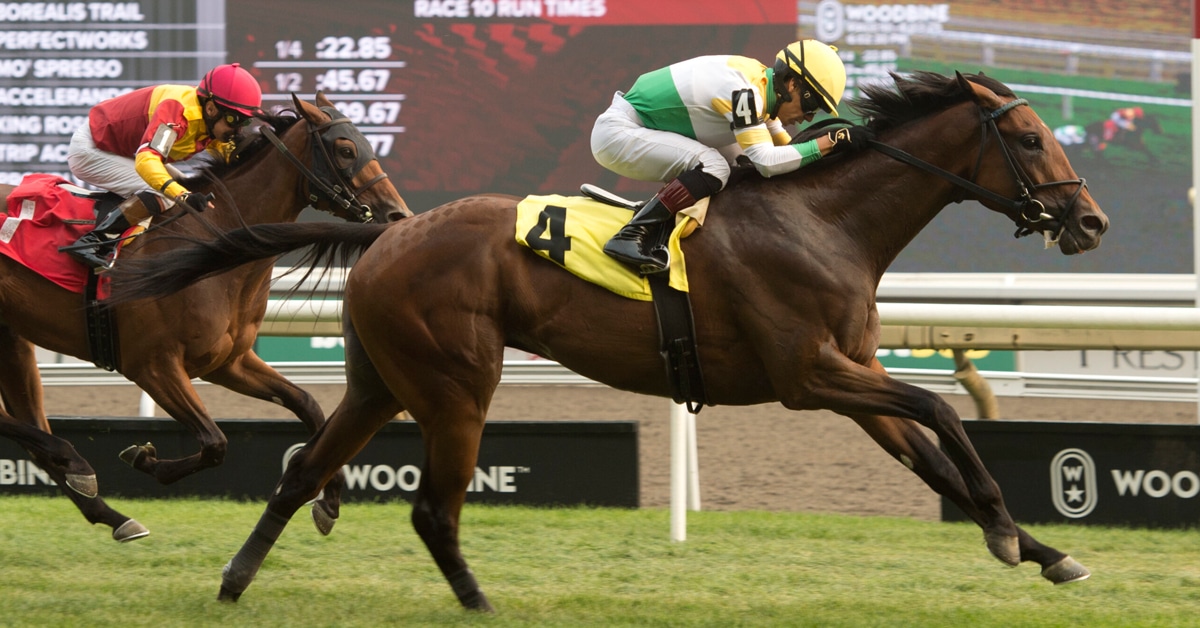 Horses racing at Woodbine.