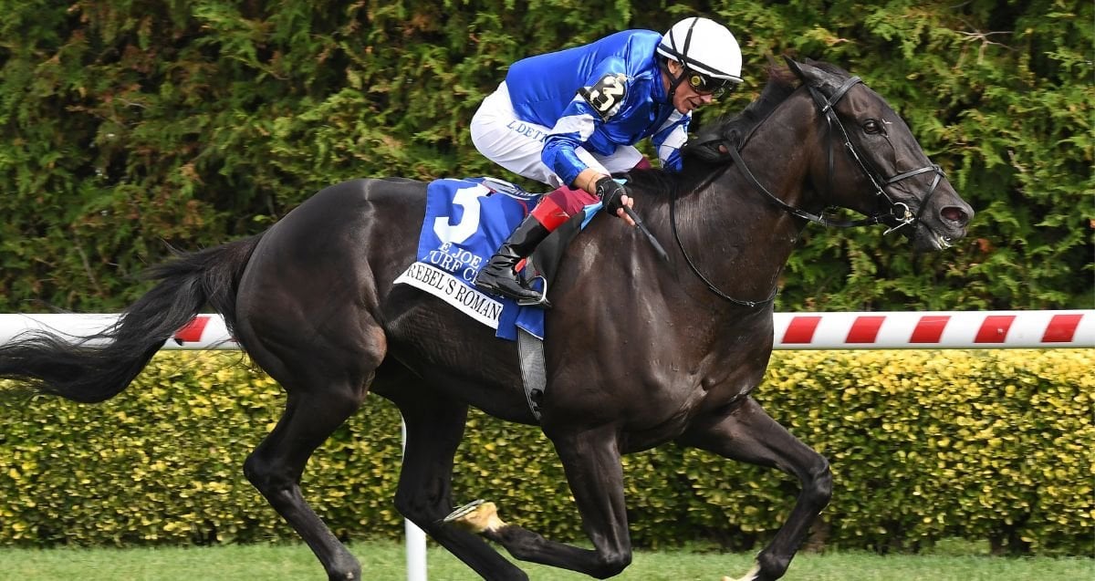 Thumbnail for Rebel’s Romance Rolls in New York, Goes for 3rd Breeders’ Cup