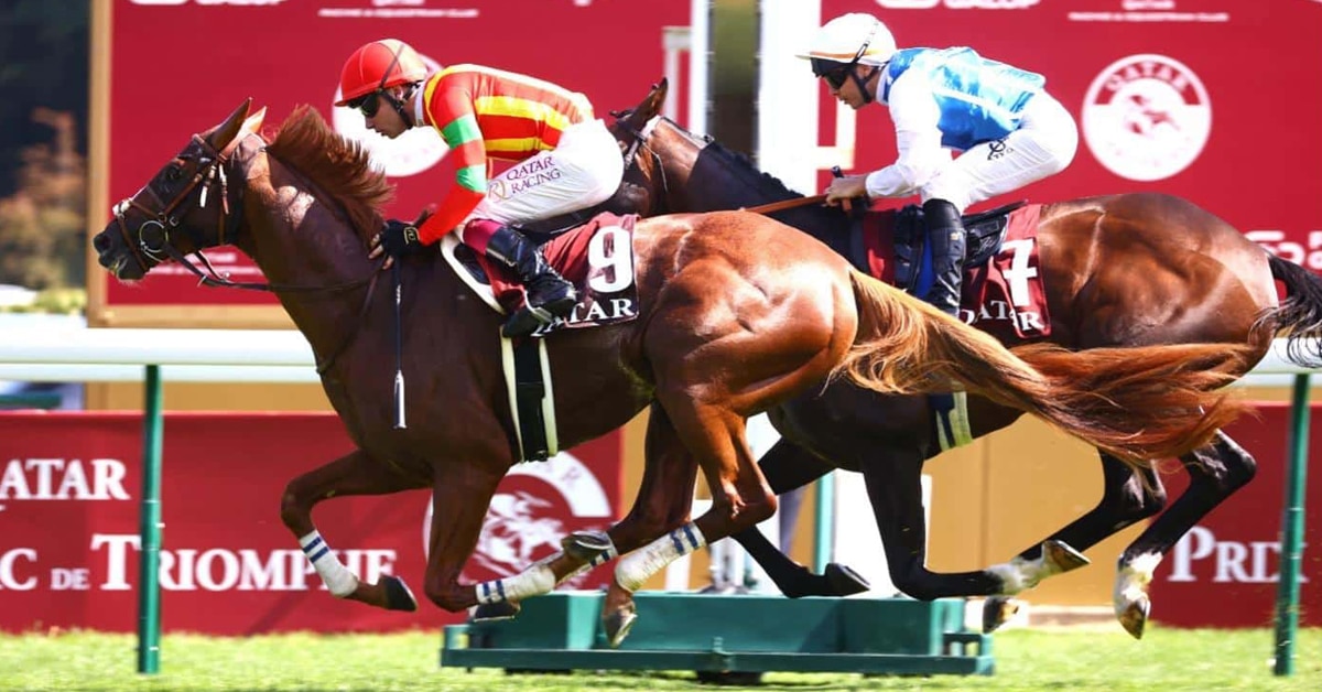 Horses racing in France.