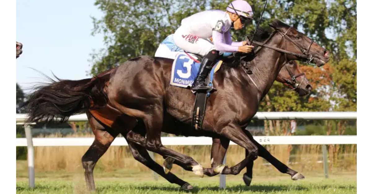 Thumbnail for Breath Away Makes Canadian Debut in Dance Smartly