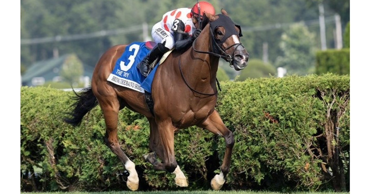 Thumbnail for Bring Theband Home, Strikin Viking (IRE) Vie in Nearctic