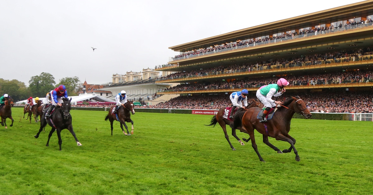 Thumbnail for The Arc: Aventure Favoured, Japanese Try Again, O’Brien Has Pair