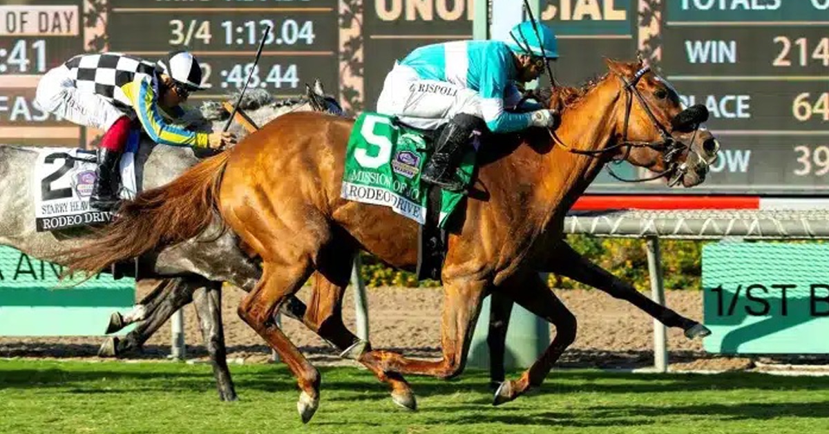 Thumbnail for Canadian-bred Mission of Joy Takes Grade 1 Rodeo Drive