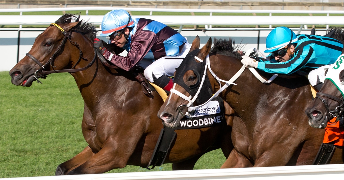 Thumbnail for Invaders Bred Across the Pond Win Woodbine G2 Stakes