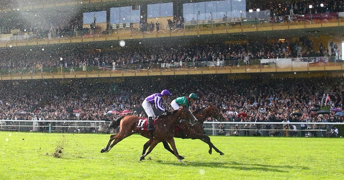 Thumbnail for Fourth Generation Aga Khan Colt Daryz Grabs Arc