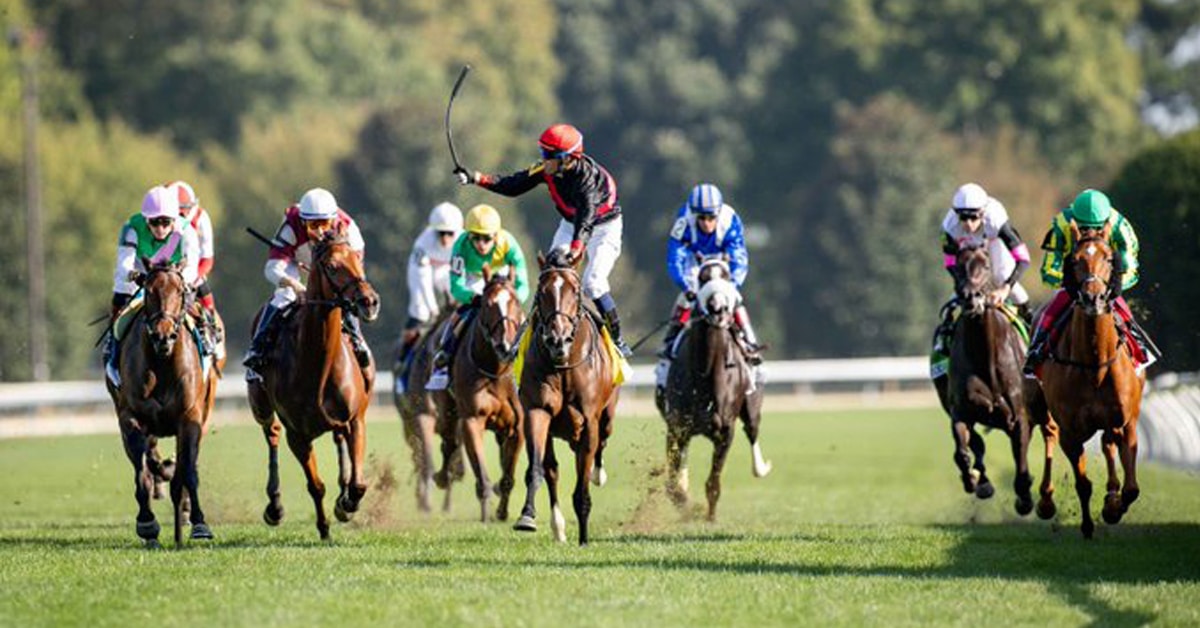 Thumbnail for Colebrook Filly Simply in Front Continues to Shine