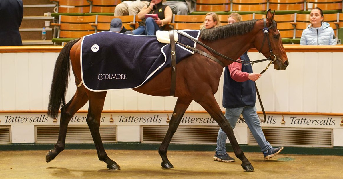 Thumbnail for Moira Well Beaten in TAB Turnbull Stakes Down Under