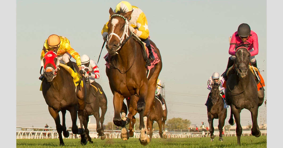 Thumbnail for Dixie Law Beats Boys in Cup & Saucer for Owner Williamson