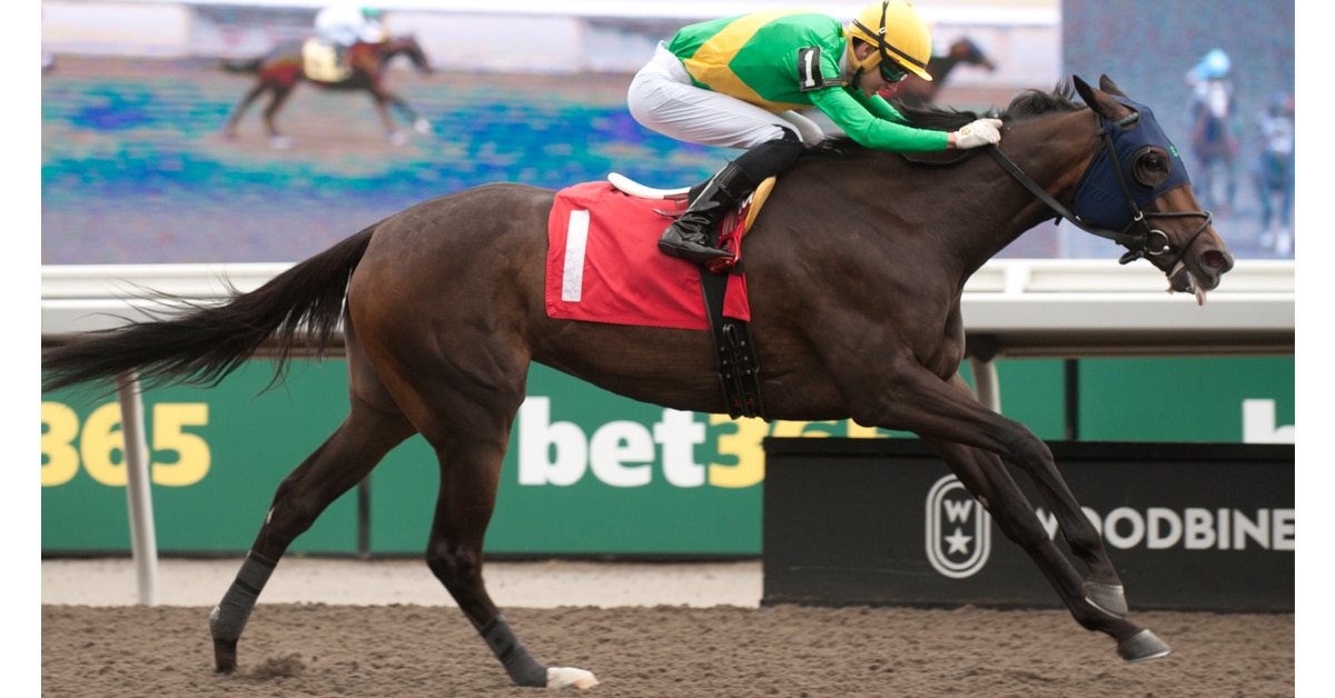 Thumbnail for Ontario Fashion, Ontario Damsel Stakes on Saturday