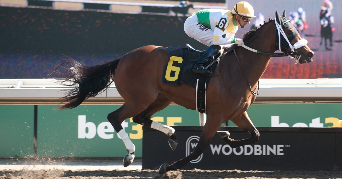 Thumbnail for Rookies Face Off in Display, Glorious Song Stakes