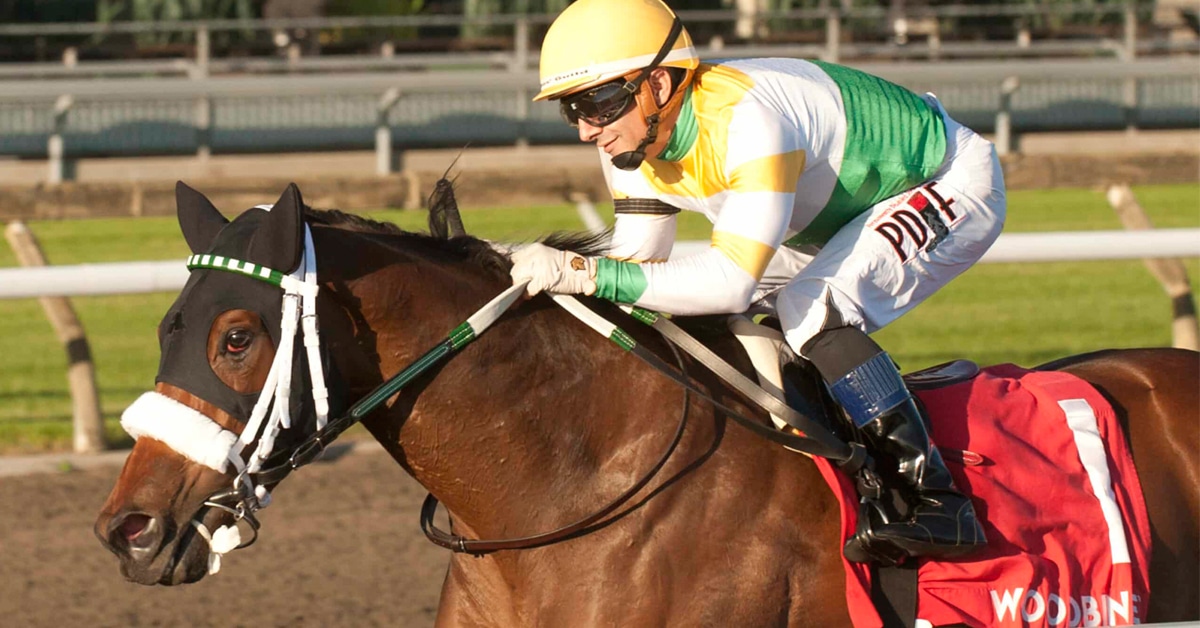 Thumbnail for Piper’s Gift Whistles in Glorious Song Stakes