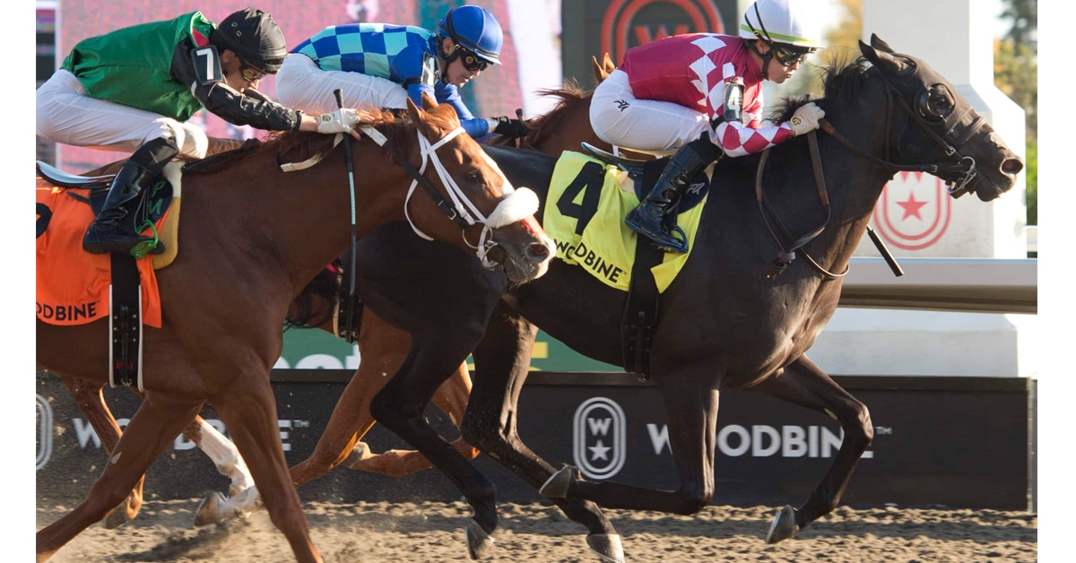 Thumbnail for Woodbine Weekend: Jupiter Takes Display, Golden Rail is Strong