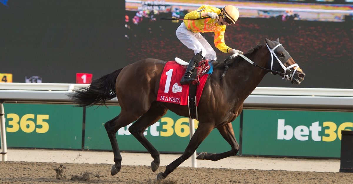 A bay racehorse and jockey with yellow silks crossing the finish line at Woodbine.