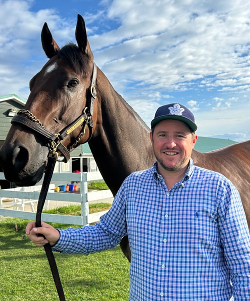 A man holding a bay racehorse.