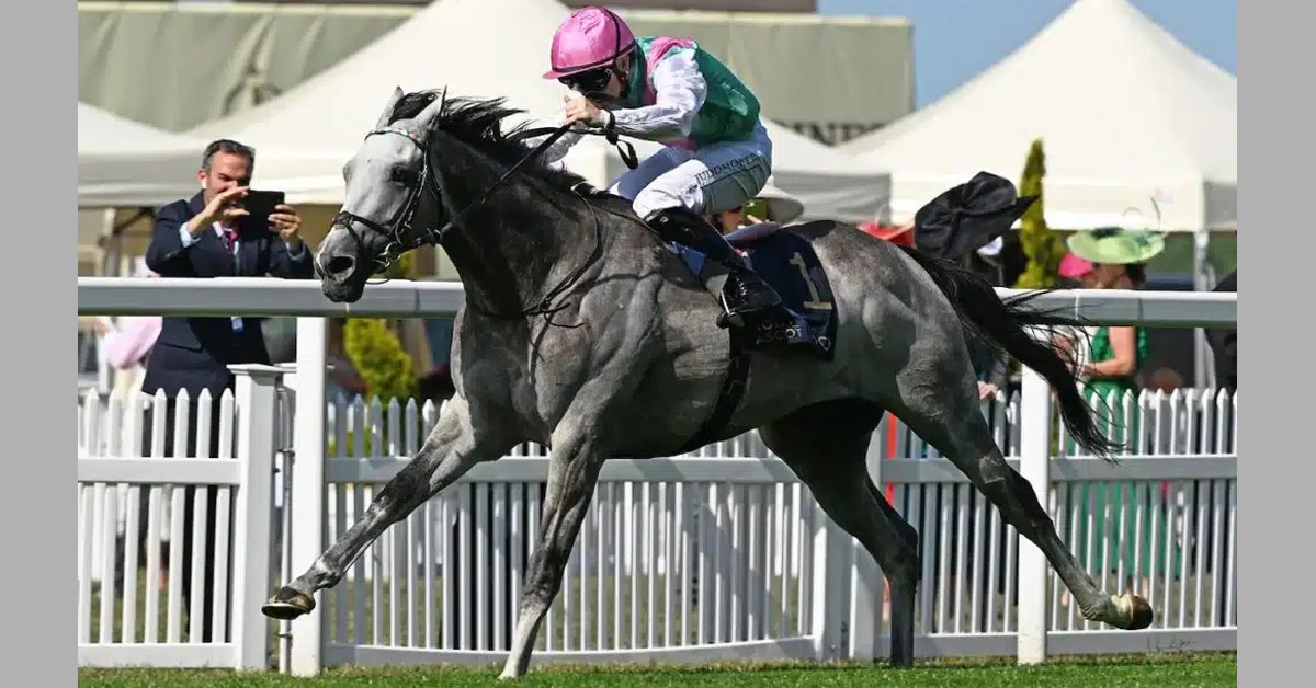 Thumbnail for British Champions Day Saturday: Ombudsman vs Delacroix