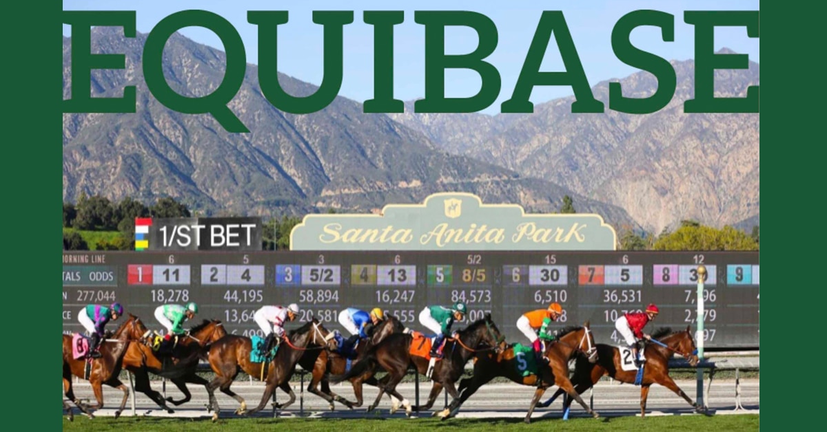 Thumbnail for Equibase Horse Rating Assigned to a ‘Body of Work’