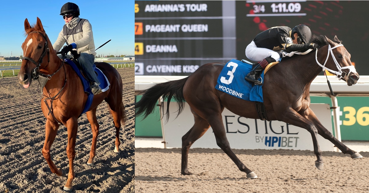 Thumbnail for Frost King, South Ocean on Tap Sunday