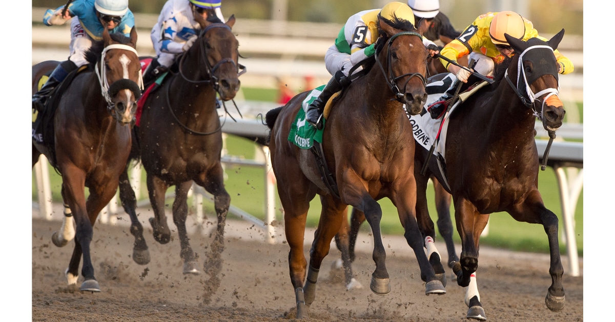 Thumbnail for Borealis Trail Charges Past Mansetti in Ontario Derby