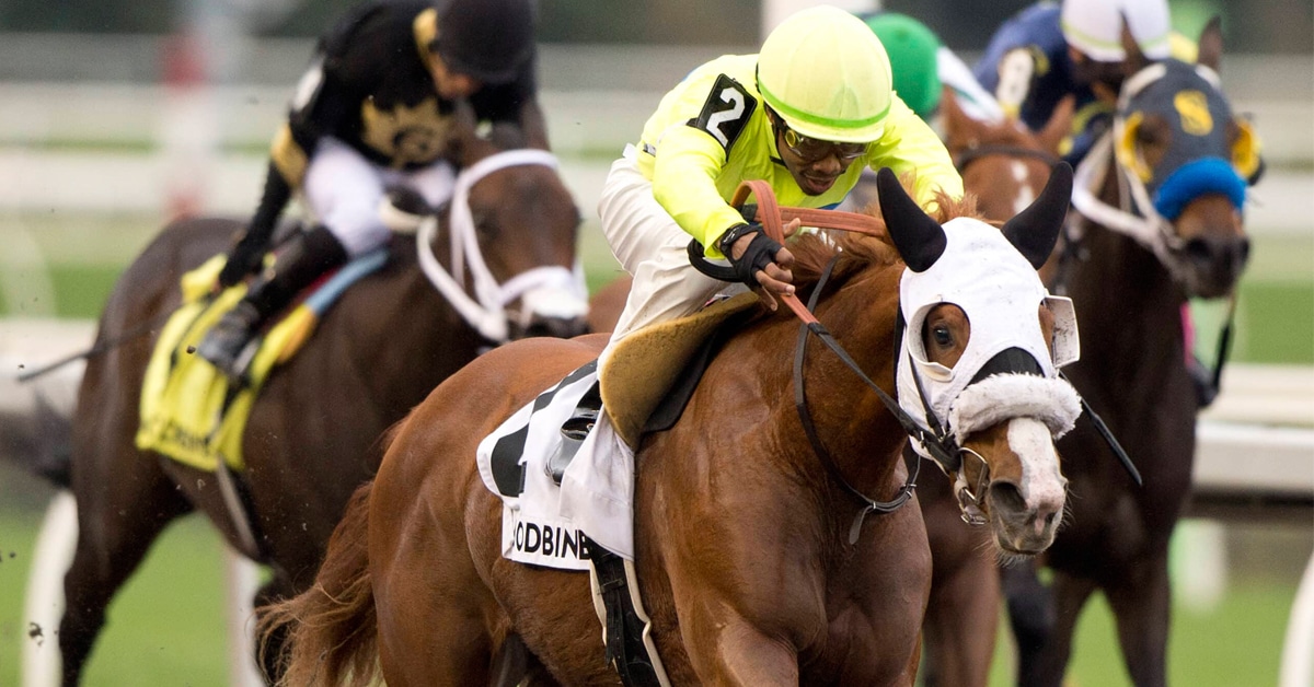 Horses racing at Woodbine.