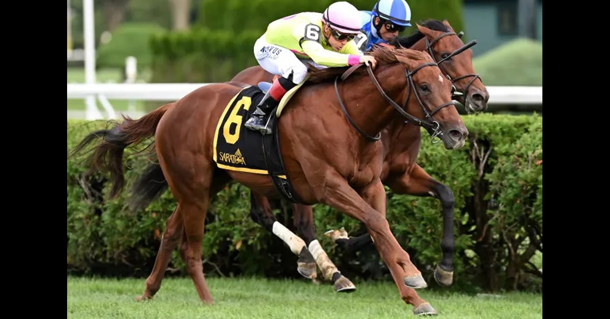 Thumbnail for Inflation Nation, by Speightstown, Newest Stallion to Ontario