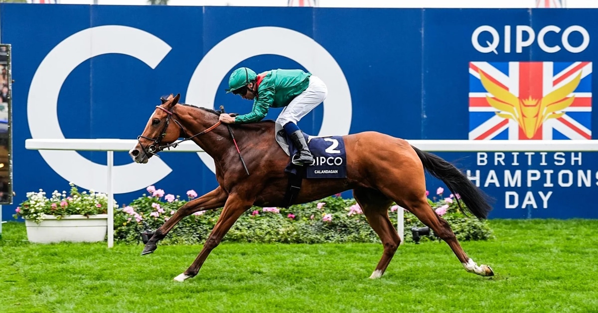 Thumbnail for Shock and Odds: QIPCO British Champions Day