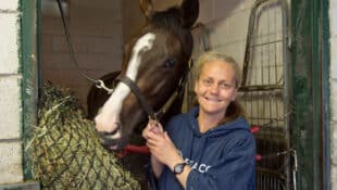 A blonde woman holding a bay horse in a stall at the track.