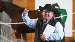 A spotter at a yearling sale.