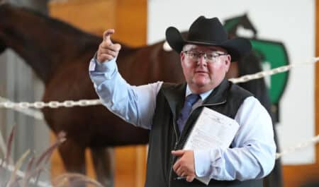 A spotter at a yearling sale.